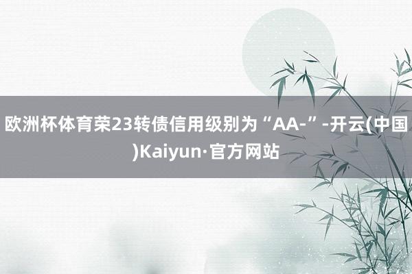 欧洲杯体育荣23转债信用级别为“AA-”-开云(中国)Kaiyun·官方网站