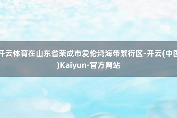 开云体育在山东省荣成市爱伦湾海带繁衍区-开云(中国)Kaiyun·官方网站