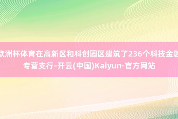 欧洲杯体育在高新区和科创园区建筑了236个科技金融专营支行-开云(中国)Kaiyun·官方网站