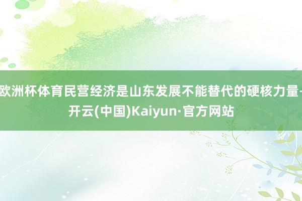 欧洲杯体育民营经济是山东发展不能替代的硬核力量-开云(中国)Kaiyun·官方网站