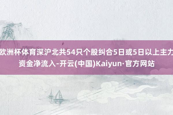 欧洲杯体育深沪北共54只个股纠合5日或5日以上主力资金净流入-开云(中国)Kaiyun·官方网站